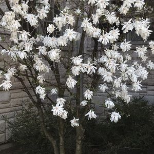 Meet your Posher, Alesandra